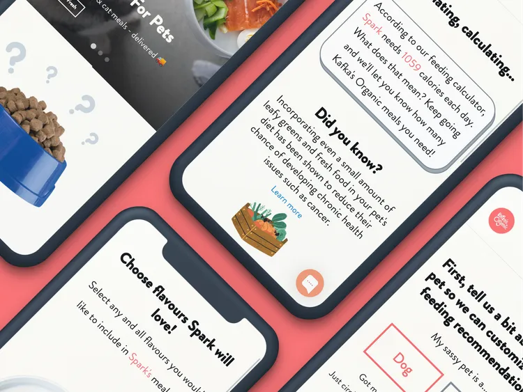 Creating a custom meal planning experience for pets around the world.